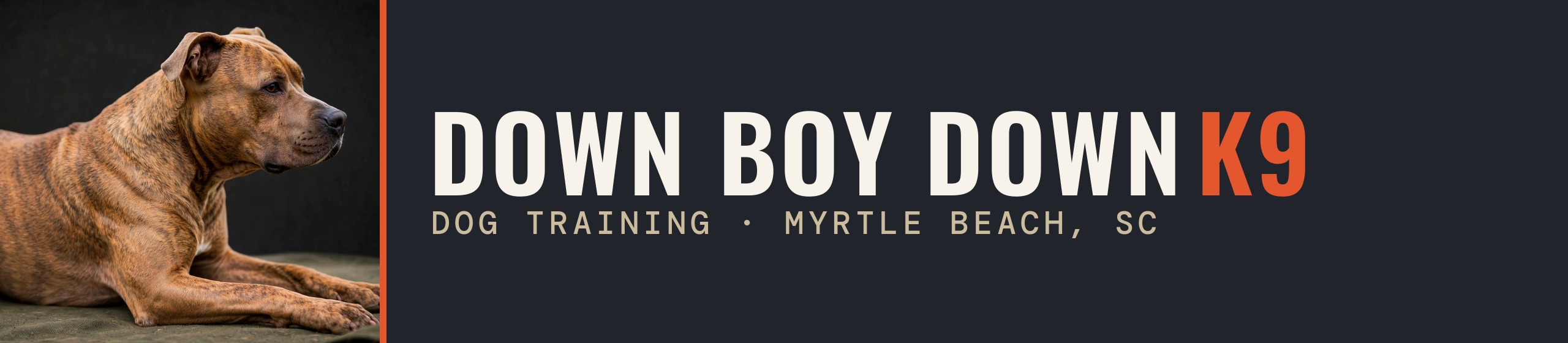 Down Boy Down K9